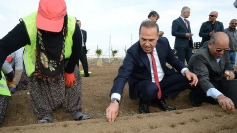 Adana'da Hollanda Modeli Çiçek Üretimi İçin İlk Adım