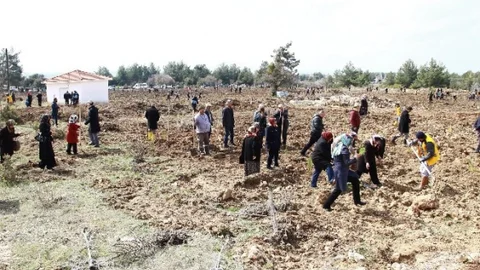 Binlerce Fidan Toprakla Buluşuyor