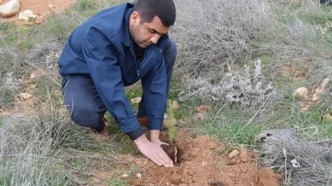 Semerkand Malatya Vakfı Fidan Dikti