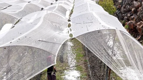 Mersin'de Dolu Çiftçiyi Vurdu