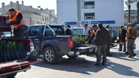 Ayvalık'ta Binlerce Fidan Toprakla Buluşturulması İçin Vatandaşlara Dağıtılıyor