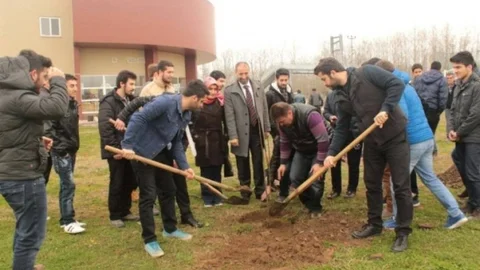 Terme Meslek Yüksekokulu Meyve Fidanı Dikim Etkinliği