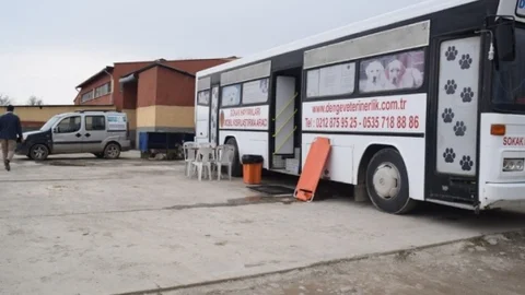 Şuhut'ta Sokak Hayvanları Rehabilite Edilmeye Başlandı