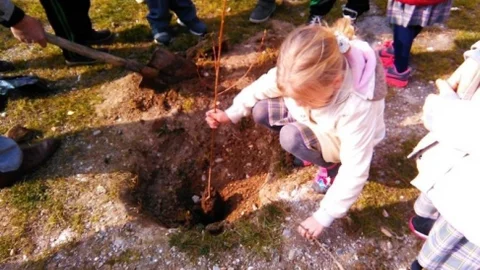 Aydın'da 11 Yılda 55 Milyon 475 Bin Fidan Toprakla Buluştu