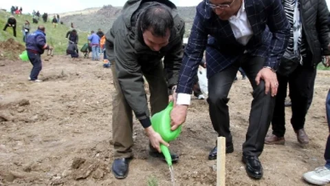 İzmir'de Evlenen Her Çifte Bir Fidan