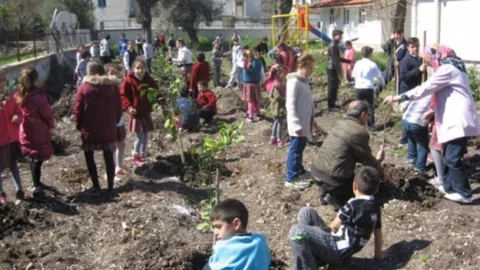 Urla'da Meyve Fidanları Toprakla Buluşuyor