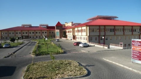 Bingöl'de ‘Domuz Gribi' Endişesi