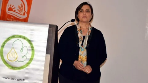 Aydın'ın Dünyaca Ünlü İnciri Korunacak