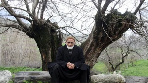 (Özel Haber) Asırlık Ağaçlar İlgi Bekliyor