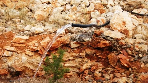 Beydağı Yeşil Kuşak Projesi Tamamlandı