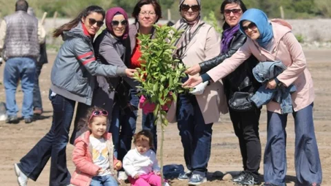 Karayolları Personeli Fidan Dikti