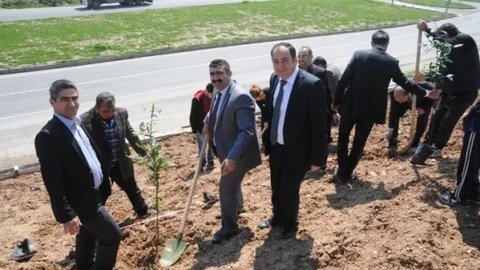 Cizre'de Bin 200 Fidan Toprakla Buluştu