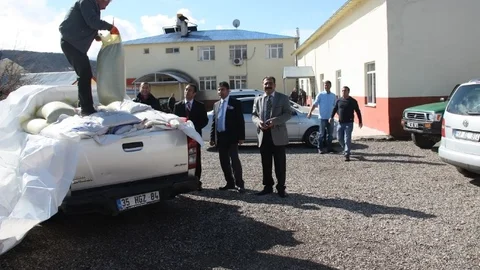 Tunceli'de Çiftçilere Sertifikalı Yem Bitkisi Tohumu Dağıtıldı