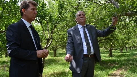 Niğde'de Soğuklar Teğet Geçti