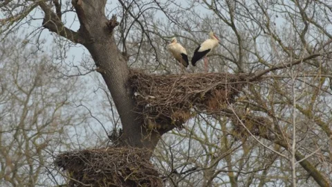 Leylek Şehri Konuklarını Bekliyor