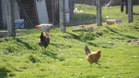 Amatör Maçta İlginç Enstantaneler