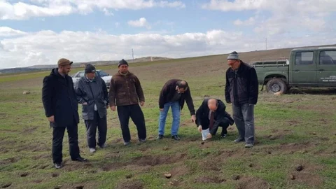 Afyonkarahisar'da Tarla Faresi İle Mücadele Çalışmaları