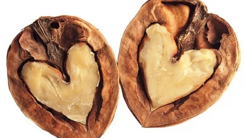 Ceviz Tüketmek İçin En İyi 10 Neden