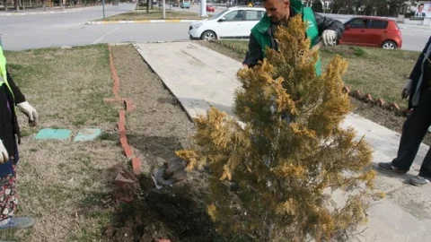 Kavşaklarda Çiçekler Açacak