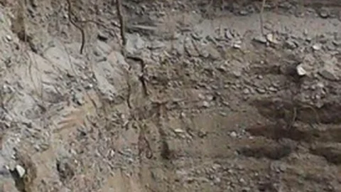 Balıkesir'de İnşaat Çukurunda Kedi Kurtarma Operasyonu