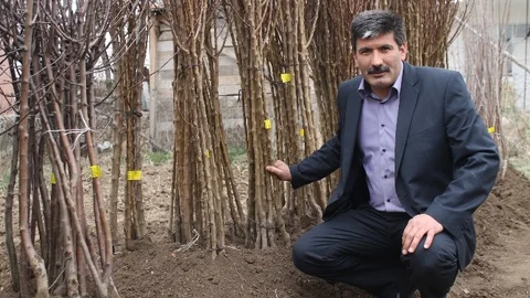 Akdağmadeni Ziraat Odası Sertifikalı Fidan Satışına Başladı