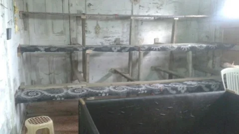 Jandarmadan Horoz Dövüşü Baskını