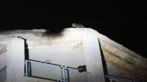 (Özel Haber) Atlamak İçin Çıktığı Çatıdan Ağabey Tokadı İndirdi