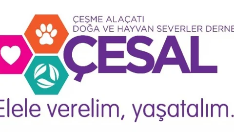 Çesal Hayvanlara Yardım Elini Uzatıyor