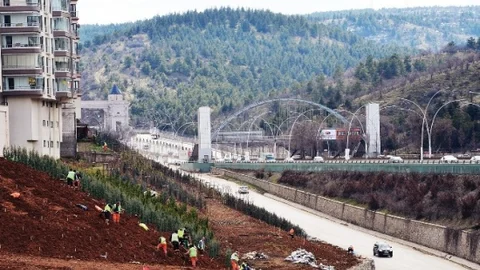 Başkent Ankara'ya 43 Bin Ağaç Daha Dikiliyor