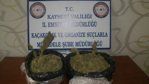 Yolcu Otobüsünde Esrar Bulundu