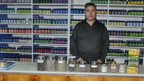 Gribe Çare ‘Ekinezya Çayı'