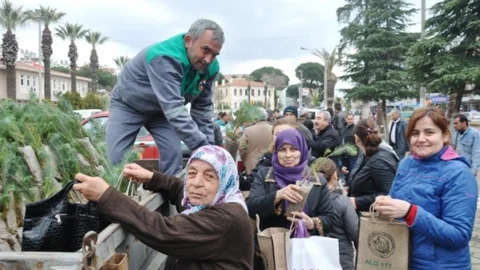 Ödemiş'te Çam Fıstığı Ve Kestane Fidanı Dağıtıldı