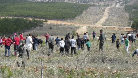 Mut'ta Öğrenciler 3 Bin 200 Fidanı Toprakla Buluşturdu