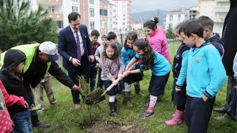 İlkadım'da Fidanlar Toprakla Buluştu