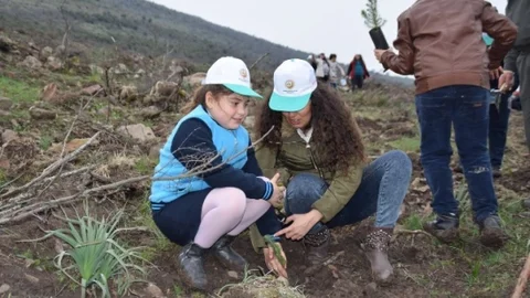 Binlerce Fidan Toprakla Buluştu