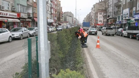 Bozüyük'te Orta Refüjler Yaza Hazırlanıyor