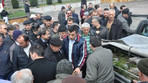 Bereket Ormanları Kuruluyor