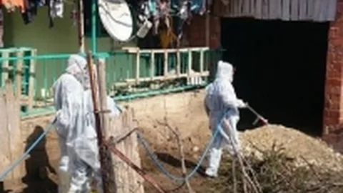 Demirci'de Haşere İle Mücadele Çalışmaları