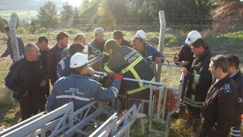 Yüksek Gerilim Hattı Direği Tepesinde Can Pazarı