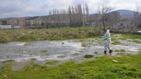 Bozüyük'te Larva Mücadelesi Su Birikintilerinde Devam Ediyor
