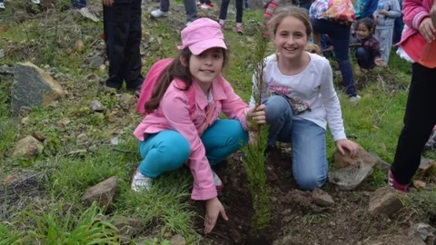 Ormancılık Haftası'nda 3 İlçede 5000 Fidan Toprak İle Buluştu
