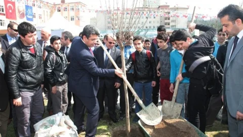 Küçükçekmece'de Okullara Bin 500 Ağaç