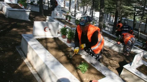 İnönü Şehitliği Çiçeklendirildi