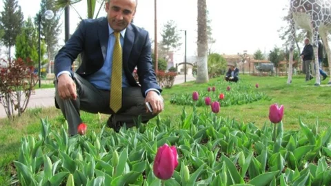 Araban Belediye Başkanı Mehmet Özdemir'in Lale Sevgisi