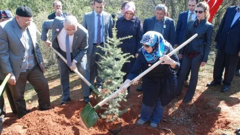 Tokat Bereket Ormanı'na 200 Fidan