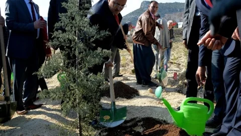 ‘Mersinli Çanakkale Şehitleri' İçin Hatıra Ormanı Oluşturuldu