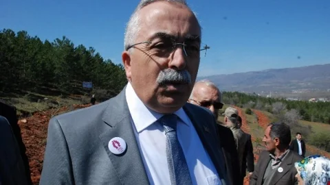 Vali Can Evlilik Hatıra Ormanı Konusunda Son Noktayı Koydu