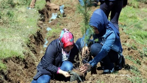 ‘Bereket Ormanları' Projesi Samsun'da Hayat Buldu