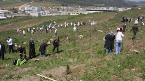 Bursa'da Bereket Ormanları Kuruldu