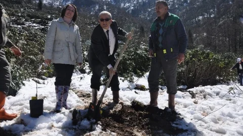 Giresun'da Fidan Dikim Töreni